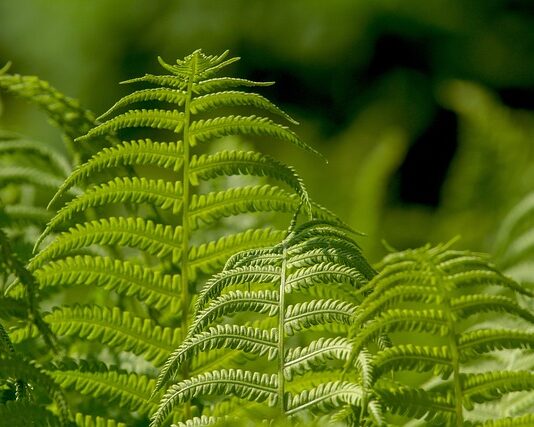 Ile zarabia sklep jubilerski?