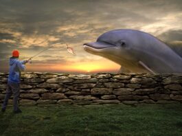 Czy żyłka jubilerska się rozciąga?