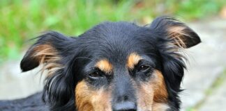 Czy należy usypiać dziecko na siłę?