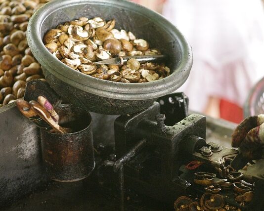 Czy martwa gnida strzela?