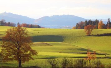 Czy 10 tys brutto to dużo?