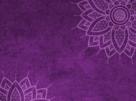 Ile wynosi mandat za spanie na dziko?