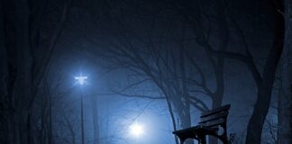 Co przywieźć z Polski do Włoch?