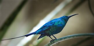 Co można kupić na fakturę na firmę?