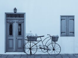 Co ile przycinać rośliny w akwarium?