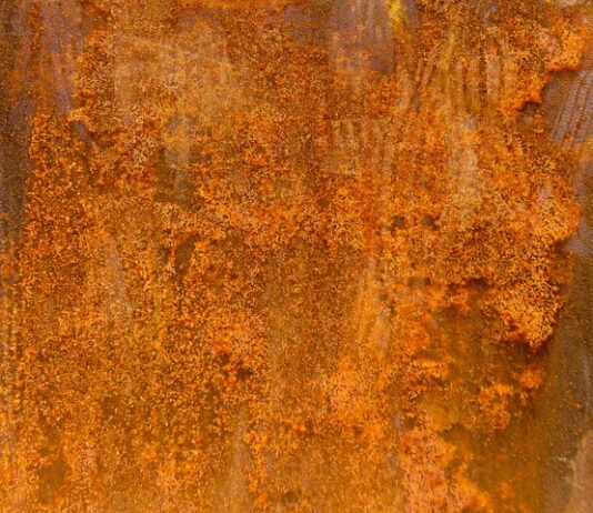 Co daje żelazo w akwarium?