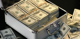 Gdzie sprawdzić ile zarabia firma?