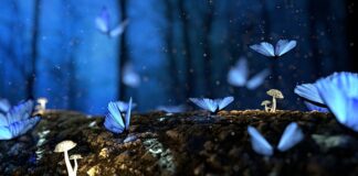 Czy można wziąć fakturę na firmę i jej nie rozliczyć?