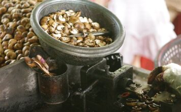 Jak pozbyć się gnid z długich włosów domowe sposoby?