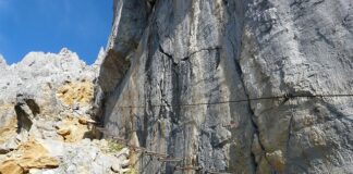 Jak zablokować budowę stacji bazowej telefonii komórkowej?