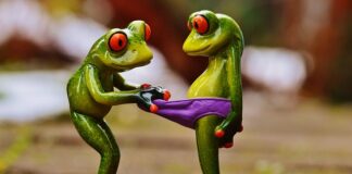 Co jest wygodniejsze slipy czy bokserki?