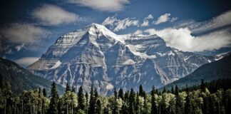 Jak zamontować flagę na maszt?