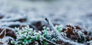 Co zrobić po napromieniowaniu?