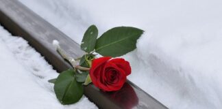 Co bardziej boli Airsoft czy paintball?