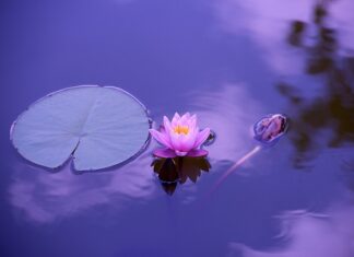 Czy ćwiczenie jogi to grzech?