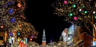 Kiedy jest okres ochronny karpia?