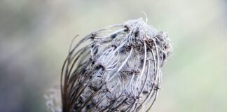 Co daje owalny blat?