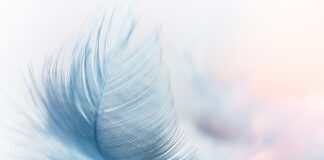 Czy platforma wibracyjna przeciwwskazania?