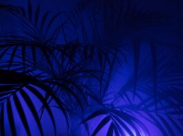 Po co legginsy na siłownię?