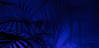 Po co legginsy na siłownię?