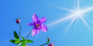 Jak chronić się przed bronią atomowa?