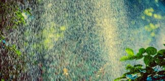 Ile zraszaczy na jednej sekcji Rain Bird?