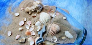 Ile razy w tygodniu ćwiczyć na platformie wibracyjnej?