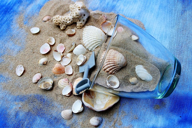 Ile razy w tygodniu ćwiczyć na platformie wibracyjnej? Ile razy w tygodniu ćwiczyć na platformie wibracyjnej?