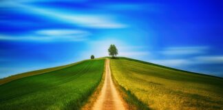 Co grozi za chodzenie w mundurze?