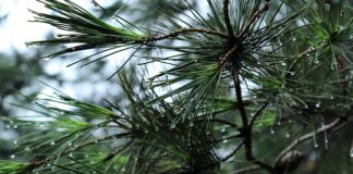 Czy bagażnik rowerowy musi mieć światła cofania?