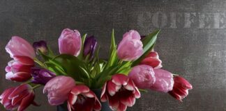 Czy sprężyny bonell skrzypią?